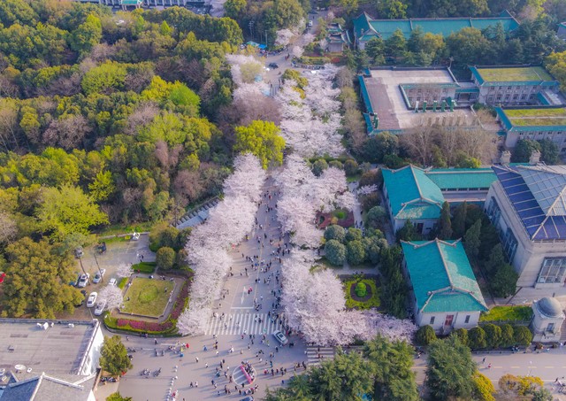 腾讯校内网停了怎么找同学 (腾讯校内网停用了怎么找人)