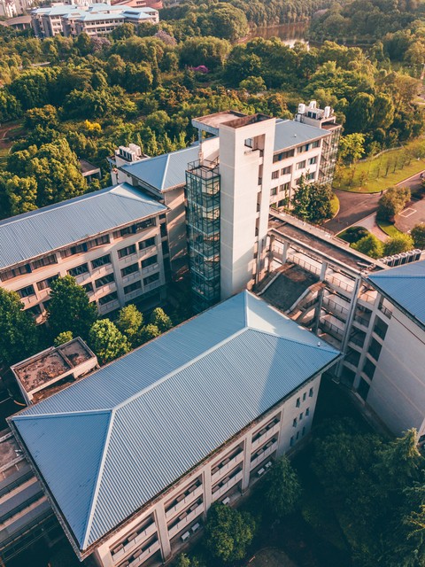 量价时空的交易口诀 量价时空口诀