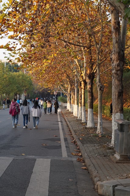 网上怎么找老同学 (找老同学上哪个网)