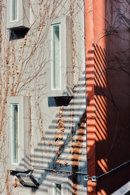 腾讯校内网停了怎么找同学 (腾讯校内网停用了怎么找人)